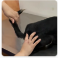 Pretinha durante atendimento
